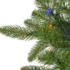 9 ft Pre-Lit Natural Cut Narrow Saginaw Spruce Christmas Tree with 750 Color-Changing LED Lights