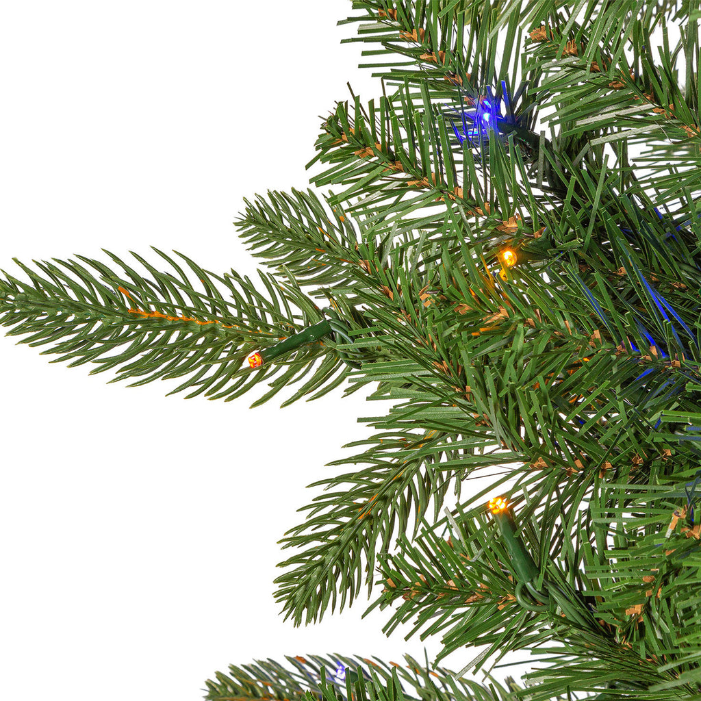 12 ft Pre-Lit Natural Cut Narrow Saginaw Spruce Christmas Tree with 1100 Color-Changing LED Lights