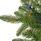 12 ft Pre-Lit Natural Cut Narrow Saginaw Spruce Christmas Tree with 1100 Color-Changing LED Lights