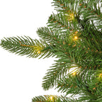 12 ft Pre-Lit Natural Cut Narrow Saginaw Spruce Christmas Tree with 1100 Color-Changing LED Lights