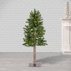 4 ft Pre-Lit Alpine Christmas Tree with 100 Color-Changing LED Lights and 189 Tips